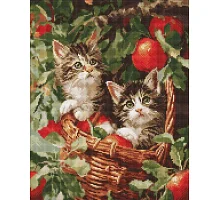 Алмазна мозаїка Коти у кошику art_selena_ua 40х50 Ідейка (AMO20277)