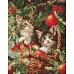 Алмазная мозаика Коты в корзине art_selena_ua 40х50 Идейка (AMO20277)