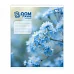 Зошит шкільний Bloom or fade А5 24 аркуша лінія YES (768875)