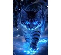 Алмазна мозаїка Слідами Галактики 30*40см в Dreamtoys (S20388)