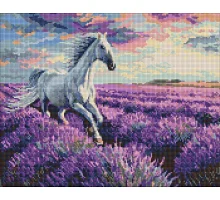 Алмазна мозаїка У лавандових полях art_selena_ua 40х50 Ідейка (AMO20227)