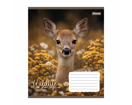 Зошит шкільний 1Вересня Wildlife is beautiful А5 24 аркушів клітинка (769146)