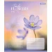 Зошит учнівський загальний Tender Flowers А5 36 аркушів лінія 1 Вересня (768079)