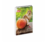 Зошит для записів Yes Сhipmunk and peach одинарна спіраль А7/80 аркушів (152561)