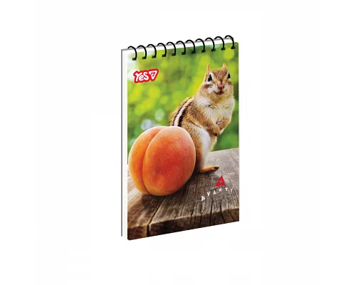 Тетрадь для записей Yes Сhipmunk and peach одинарная спираль А7/80 листов (152561)