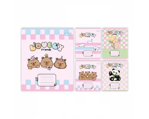 Зошит шкільний Yes Lovely Friends А5 12 аркушів лінія (768643)