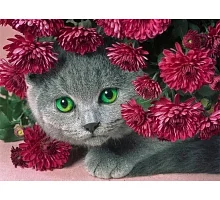 Алмазна мозаїка Смарагдовий погляд серед хризантем 40*50см Dreamtoys (S40094)