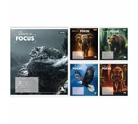Тетрадь ученическая общая Beasts in Focus А5 36 листов линия 1 Вересня (768059)