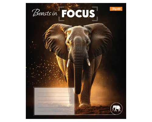Зошит учнівський загальний Beasts in Focus А5 36 аркушів лінія 1 Вересня (768059)