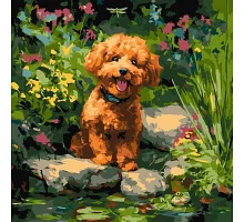 Картина за номерами Пудель на ставку art_selena_ua 40х40 Ідейка (KHO6799)