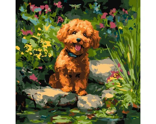 Картина за номерами Пудель на ставку art_selena_ua 40х40 Ідейка (KHO6799)