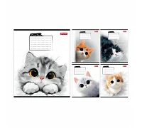 Тетрадь школьная 1Вересня Little cat А5 12 листов линия (768735)